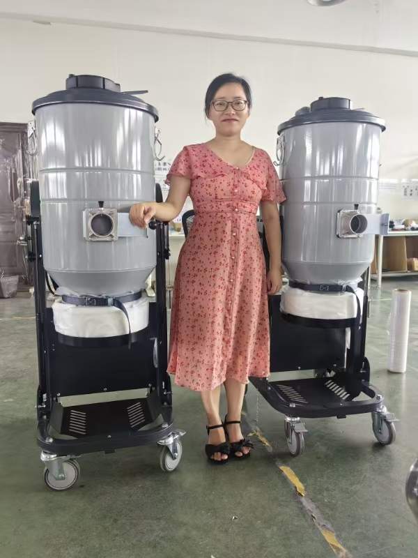 Dust Extraction System